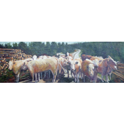 Cattle Jam